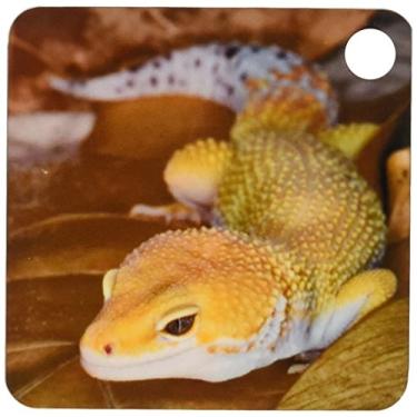 Imagem de 3dRose Leopardo Gecko Morph, Lagarto, Paquistão-AS28 AJE000 - Adam Jones - Chaveiros, 5,7 x 11,4 cm, conjunto de 2 (kc_73099_1)