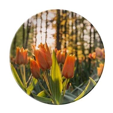 Imagem de Prato de paisagem florestal, ciência, natureza, decorativo, porcelana, salvador, louça, jantar