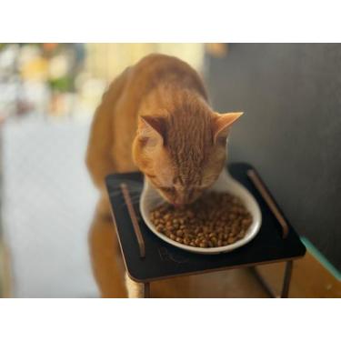 Imagem de Comedouro Elevado Inclinado Unitário para Gatos com Tigela de Porcelan