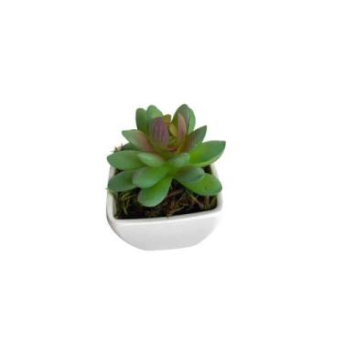 Imagem de Suculenta Artificial Mini Vaso de Plástico Branco - Melhores Ofertas, 