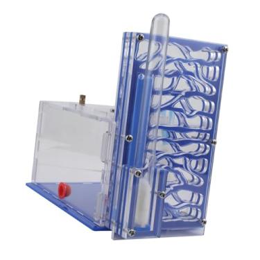 Imagem de Baoblaze Casa de formigas, de acrílico, fazenda, vila, transparente, compacto, com alimentador, aprendizado, umidade, caixa- para casa de formigas, Azul