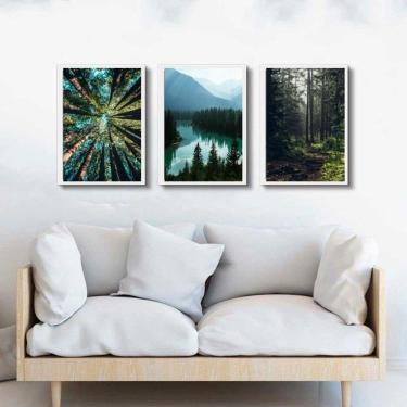 Imagem de Kit 3 Quadros Decorativos Natureza- Florestas 45X34Cm