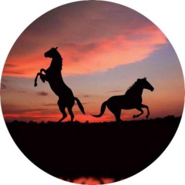 Imagem de Capa de Estepe impermeável Pneu aro 15 e 16 Exclusiva para Ecosport Cr