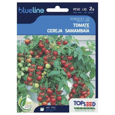 Imagem de TOPSEED, Sementes de Tomate Cereja Samambaia Blueline TOPSEED
