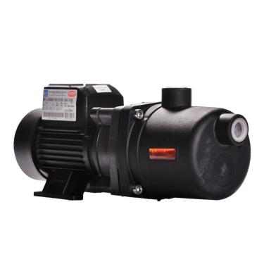 Imagem de Bomba Monoestágio App-13 1/3 Cv Rotor em Noryl Motor Monofásico Thebe