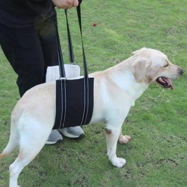 Imagem de Peitoral antipuxão para animais de estimação – Coleira auxiliar de viagem ajustável ao ar livre, colete respirável com coleira para animais de estimação pequenos e médios, tamanho M