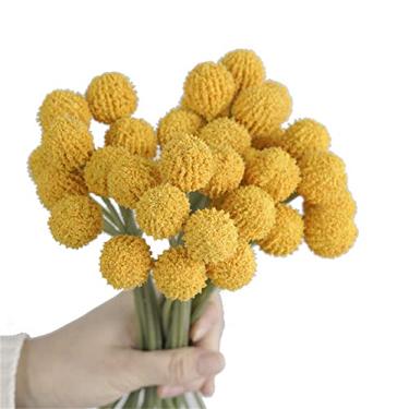 Imagem de Avivilea Flores artificiais Craspedia Globosa Billy Balls Boho Buquê de flores arranjos florais para casamento, casa, festa, escritório, decoração (amarelo dourado)