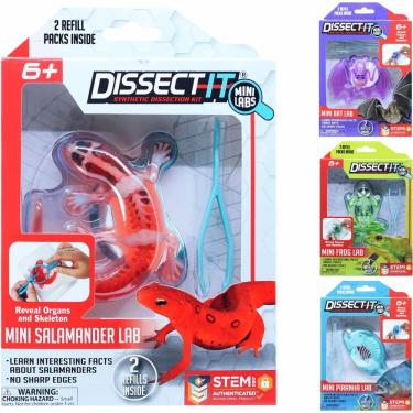 Imagem de Kit de Dissecação Mini Lab Dissect-it Educativo com Lupa e Refil de Gel Verde Candide