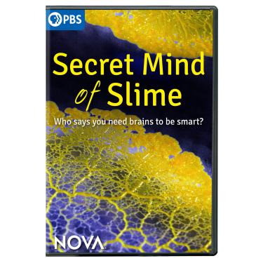 Imagem de Nova-Secret Mind of Slime