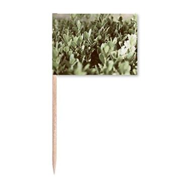 Imagem de Sinalizadores de palitos naturais com folhas de sol, decoração de festa