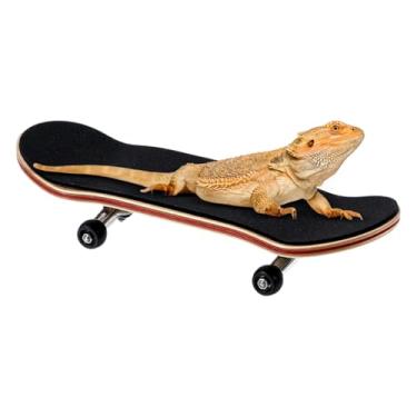 Imagem de Skate de pássaros | Brinquedos de répteis com almofadas antiderrapantes, suprimentos para animais pequenos lagartos pássaros papagaio répteis habitats casa interior deserto lagoa água