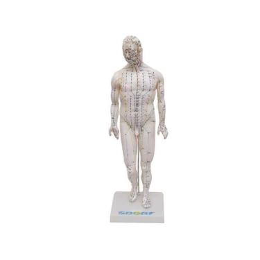 Imagem de Manequim Acupuntura Masculino 50 cm - SDORF