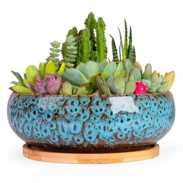 Imagem de ARTKETTY Vasos de suculentas – Vaso grande de bonsai de cerâmica com bandeja de drenagem para plantas de interior, jardim, decorativo, cacto, flor, recipiente, tigela