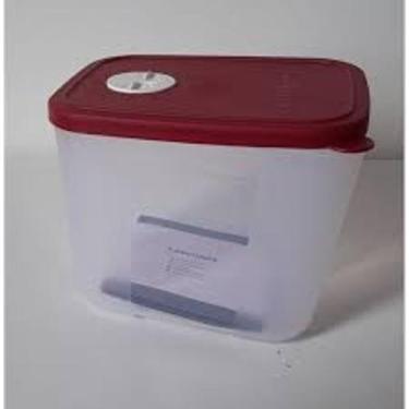 Imagem de Freezertime 1 Litro Translúcido e Tampa Marsala Tupperware