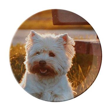 Imagem de Prato para noite solitário de animal branco para cachorro salver louça louça de jantar