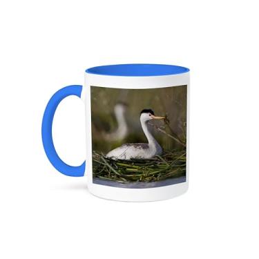 Imagem de 3dRose Washington, Potholes Reservoir, Clarks Grebe bird-US48 GLU0252-Gary Luhm Caneca dois tons, 325 ml, Azul/Branco