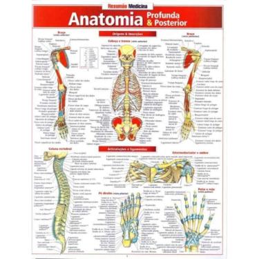 Imagem de Resumão Medicina - Anatomia Profunda e Posterior