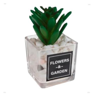 Imagem de Suculenta Vaso De Vidro Linda Decoração Banheiro Espinhosa Compacta e Estilosa (Torre Cubo)