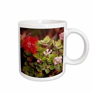 Imagem de 3dRose Caneca de cerâmica Lehua Blossoms Vulcanoes Np Big Island Hawaii, 443 ml, branca