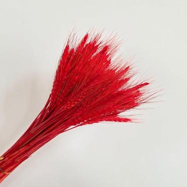 Imagem de 100 Peças de Talos Trigo Natural Espiga Grão Flores Secas para Arranjo Mesa Jantar em Casa Arte Flor Decoração Casamento