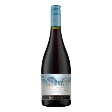 Imagem de Ventisquero Queulat Pinot Noir 750ml