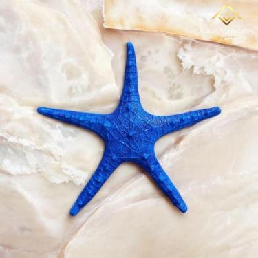 Imagem de Estrela do Mar Azul 25 cm Decoração Casa de Praia Piscina Pousada Barc