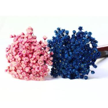 Imagem de 2 Sempre Vivas Florzinha Rosa e Azul I Flores Desidratadas - Pense Flo