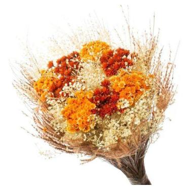 Imagem de Buque Flor Seca Desidratada Sementinha presente - Pense Flores, Laranj
