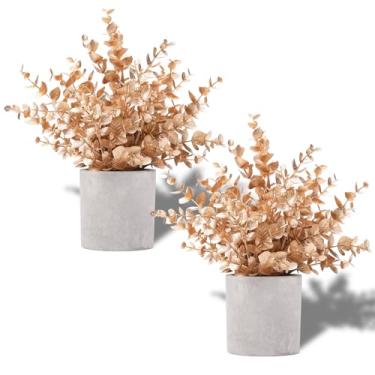 Imagem de Coferset Pacote com 2 plantas artificiais pequenas de eucalipto dourado para decoração de Natal, prateleira, casa, casa de fazenda, mesa de café, decoração de banheiro