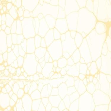 Imagem de Quadro Decorativo Abstrato em Tons de Laranja Claro e Amarelo para Sala e Quarto 50x50cm