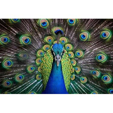 Imagem de QuebraCabeça Majestoso Pavão 120 peças - Coleção TEA