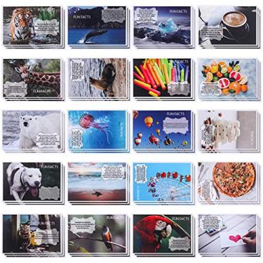 Imagem de 60 cartões postais engraçados de fatos divertidos com animais de estimação, cartões postais divertidos com tema de fatos, cartões postais engraçados para crianças e professores, 10 x 15 cm