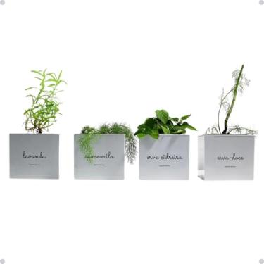 Imagem de Kit 4 Vasos Autoirrigáveis + Sementes e Substrato Chá 11cm Camomila Erva Doce Erva Cidreira Lavanda Plástico (Branco)
