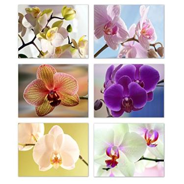 Imagem de Small World Greetings Cartões de notas de flor de orquídea 12 unidades - Dentro em branco com envelopes brancos - Tamanho A2 14 cm x 10,8 cm - Artigos de papelaria floral - Aniversário, Obrigado e