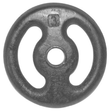 Imagem de Anilha Pintada Para Musculação 3 Kg