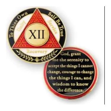 Imagem de 12 Year AA Recovery Coin, Red White Black