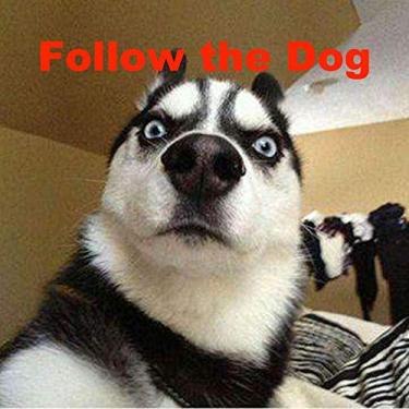 Imagem de ANIUXIAOGE Mini motosserra, mini motosserra atualizada operada por bateria sem fio com vida útil super longa, motosserra elétrica portátil leve para corte de madeira de galhos de árvores