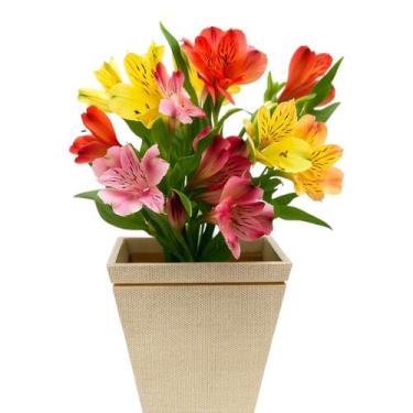 Imagem de Vaso Plantas Cachepo Pequeno 15cm Quadrado Mdf Decorativo - P.A BRINQU