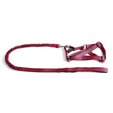 Imagem de Coleira - Guia Flexível Com Peitoral Tamanho P Vermelho