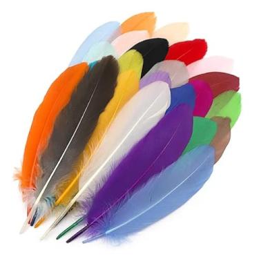 Imagem de YOUTHINK 25 Peças de Penas Coloridas, Penas de Ganso Macias Naturais para Decoração Artesanal Diy, Ideais para Embelezar Presentes e Projetos