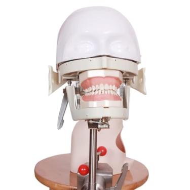 Imagem de Modelo de cabeça fantasma dental, simulador dentário, unidade simuladora de cabeça de manequim modelo de dentes fantasma para prática de ensino
