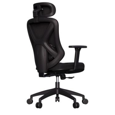 Imagem de Cadeira Ergonômica Premium Rasala com Apoio Lombar, Encosto Ajustável e Reclino – Design Executivo