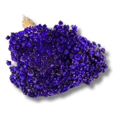 Imagem de Flores Sempre Viva 1.500 Un. Colorido Decoração Lembrancinha - INSPIRA