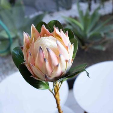Imagem de Haste de Flor Artificial Protea Frosted Com Coat Salmão 70 cm F04 - D'