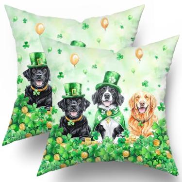 Imagem de Capas de travesseiro de Dia de São Patrício, pacote com 2, chapéu de duende de 45,7 x 45,7 cm, fronha de algodão, trevo e moeda de ouro, feliz feriado, capas de almofadas decorativas verdes irlandesas