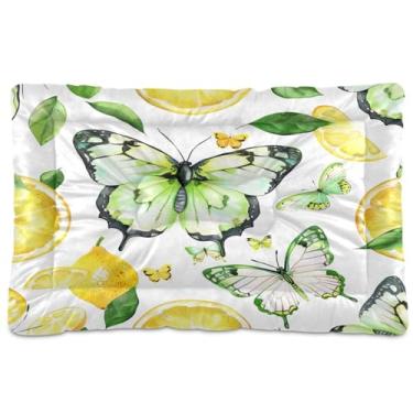 Imagem de Wassud Cama de borboleta limão para cães pequenos lavável à prova d'água para animais de estimação cama portátil para gatos com fundo antiderrapante para ambientes internos e dormir 45 x 61 cm