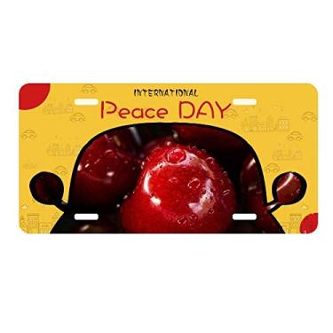 Imagem de DIYthinker Placa de carro com imagem de frutas vermelhas temperadas para decoração de carro, dia da paz