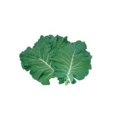 Imagem de Semente Hortaliça/Verdura/Especiaria monte seu kit personalizado - Alp