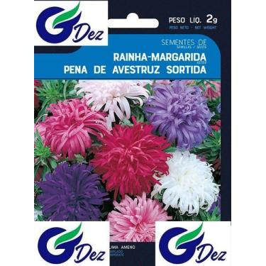 Imagem de 50 Sementes De Rainha Margarida Beauté Damerique Sortida - TOPSEED