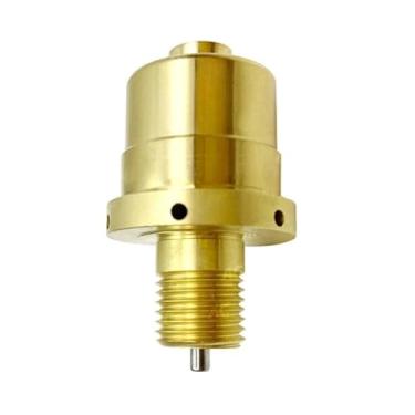 Imagem de Válvula de controle do compressor de CA automático Adequado para SANDEN Adequado para Ford Adequado para Fiat Adequado para Peugeot Adequado para Renault Adequado para Land Rover Adequado para VW Adeq